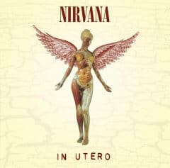 Nirvana Vinyl